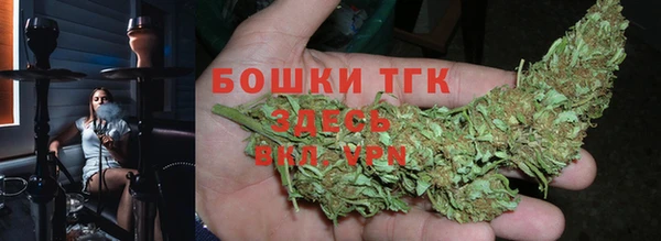 мдпв Богородск