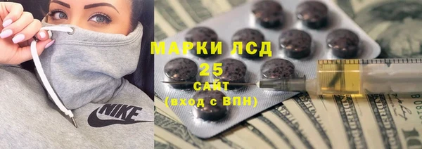 мдпв Богородск