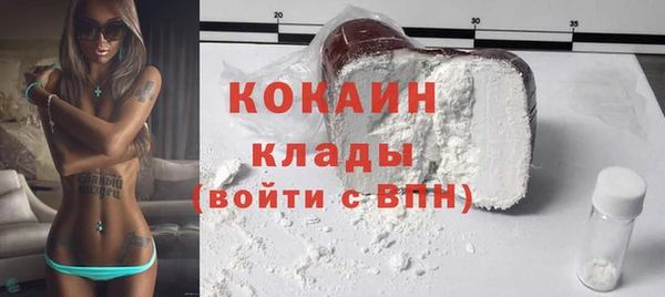 соль ск Пересвет