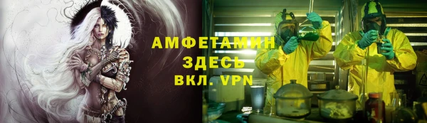 мдпв Богородск