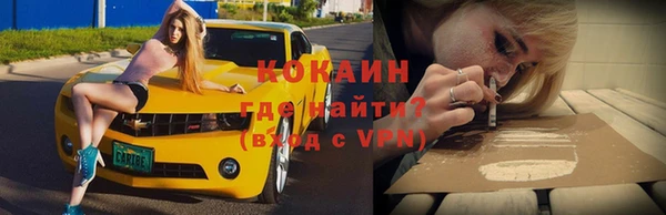 мдпв Богородск