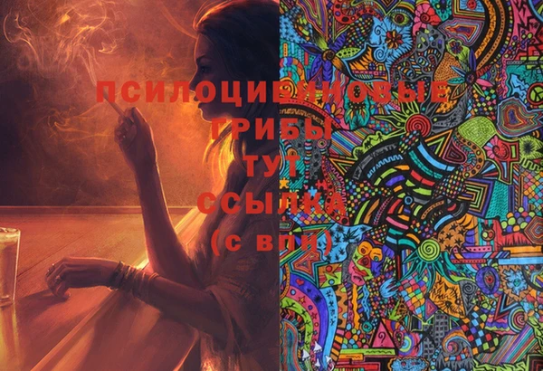 мдма Богородицк