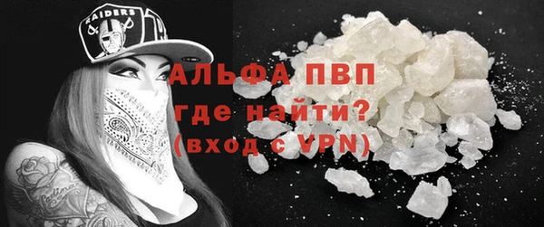 PSILOCYBIN Богданович