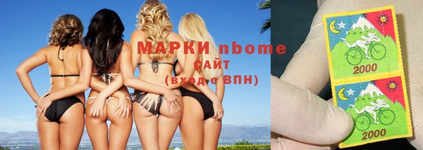 мдпв Богородск