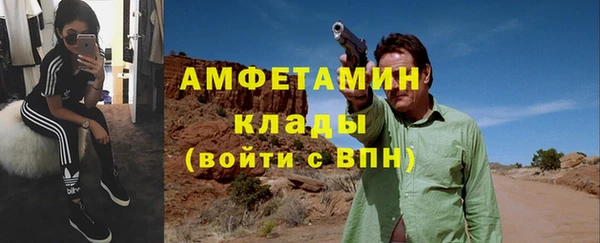 мдпв Богородск
